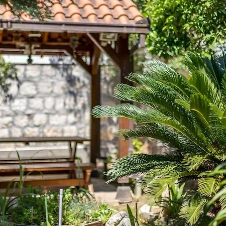 Paradise Garden *
